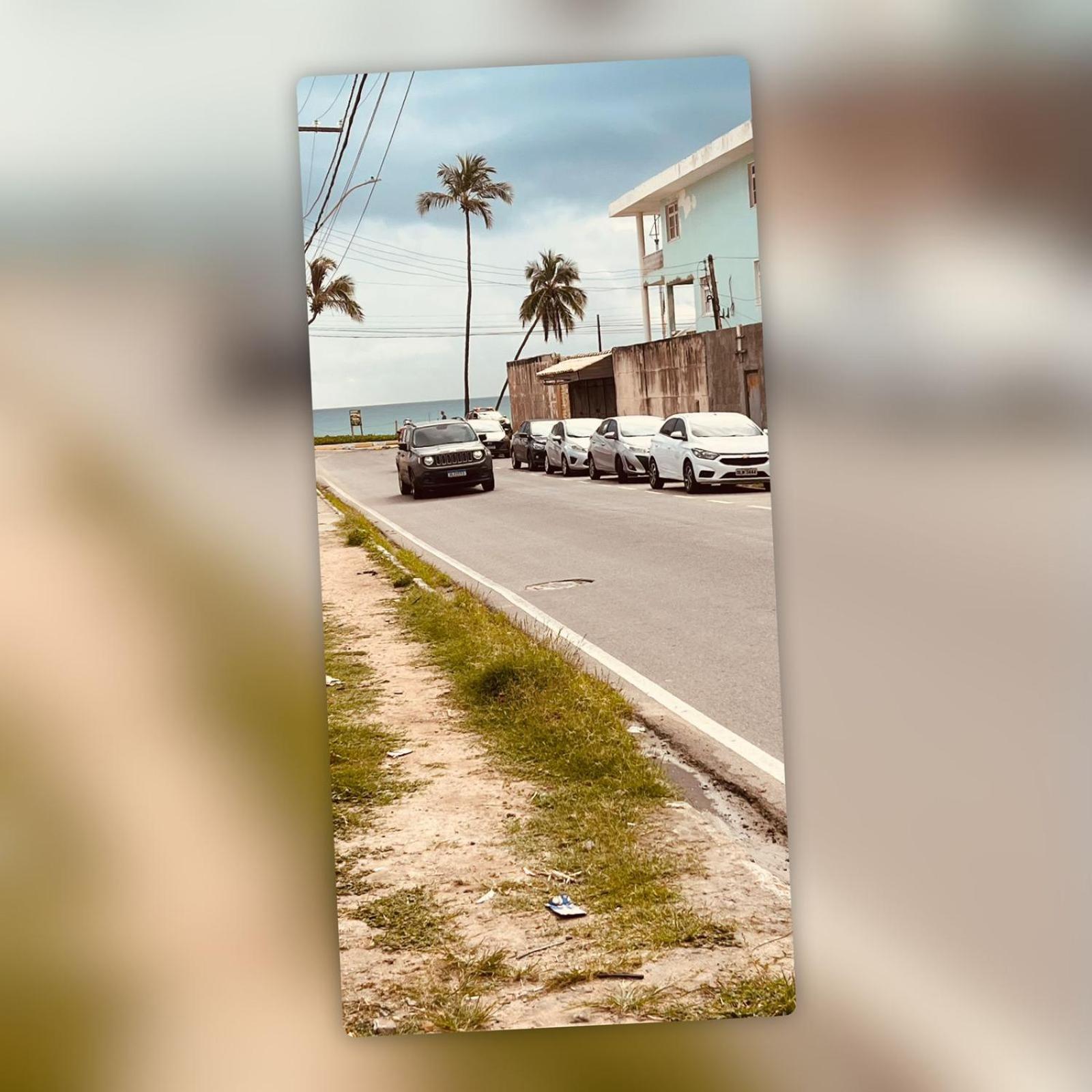 Girassol * Maceio (Alagoas)